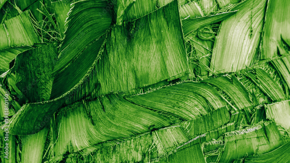 Fototapeta premium Green Natural coconut palm trunk texture, Organic materials in Earthy Tones aesthetic Nature Backgrounds, fibrous bark tropical plant close up, abstract organic pattern earthy beauty of tropical flora