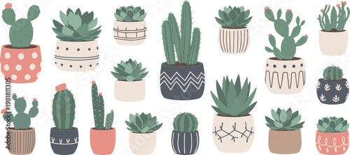 Assorted Potted Succulent Plants