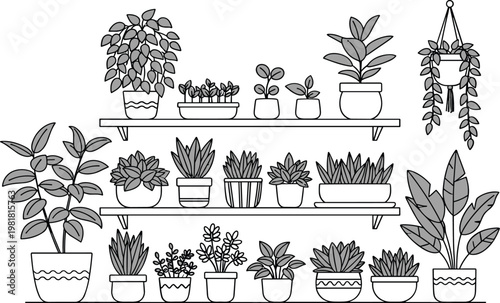 Indoor garden room with shelves and potted plants home greenhouse vector illustration isolated on white