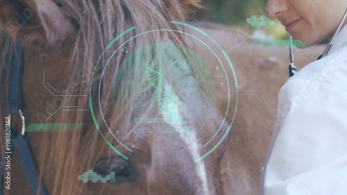 Female vet approaching horse, placing stethoscope, performing veterinary exam with DNA HUD over eye