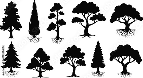Fotografia Diverse silhouettes of various tree types with visible roots and canopies Vector