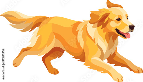 Energetic golden retriever dog running in a playful manner