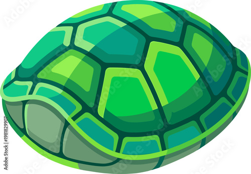 Green turtle shell shows intricate geometric shell patterns