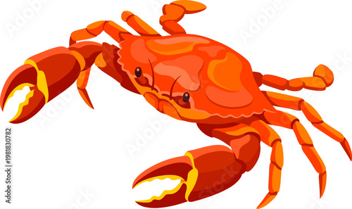Large red sea crab character with wide claws and segmented legs