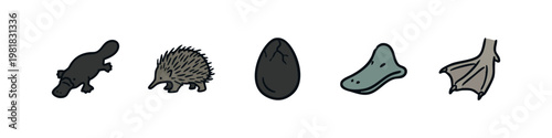 Unique Monotremes and Mammal Features Icon Set