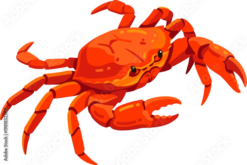 Vibrant orange-red crab facing forward with open pincers