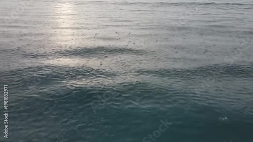 Calm ocean water surface with gentle ripples reflecting sunlight, as raindrops create small disturbances in the water, showcasing a serene coastal environment