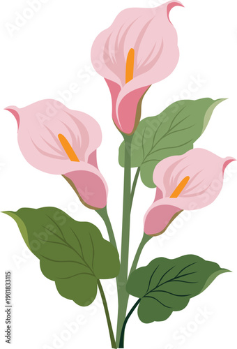 pink peace lily flower flat style