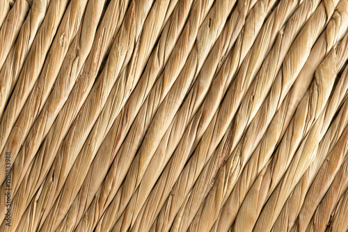 TRENZADO Y ABSTRACCIÓN CON FIBRAS DE TYPHA