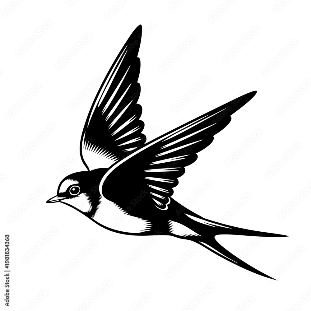 Obraz premium Graceful flying swallow illustration with outstretched wings. Classic swallow artwork depicts stylized bird silhouette, ideal for vintage design inspiration.