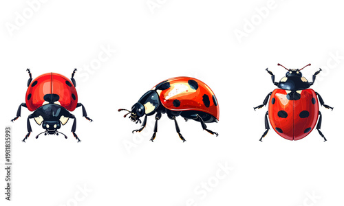 Ladybug Insect Biological Pest Control Icon – Natural Agriculture Protection