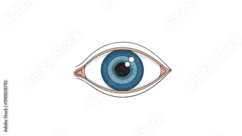 blue eye on white background