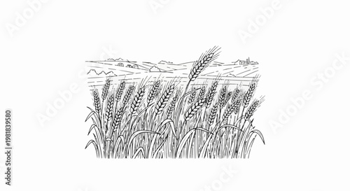 Sketch of ripening wheat stalks in a field with distant hills and structures
