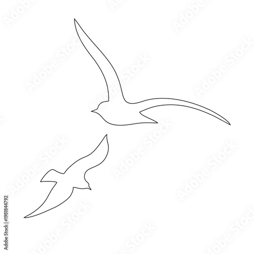 Flying birds, two animals, outline silhouette, abstract sticker on the wall of a house or glass, vector symbol of protection of birds from collision