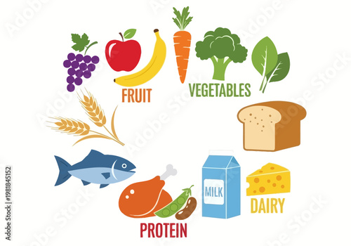 Healthy food groups illustrated Fruits, grains, protein, vegetables, and dairy products for a balanced diet