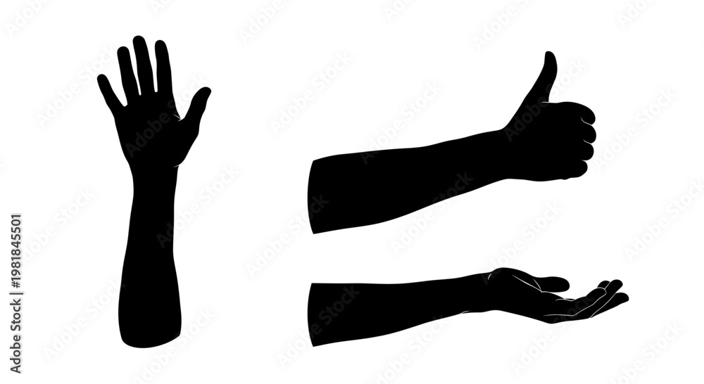 Fototapeta premium Silhouette Hands Gestures: Thumbs Up, Open Palm, Five Fingers Raised