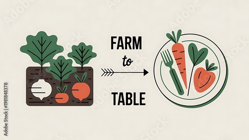 Flat vector illustration representing the farm to table concept with fresh vegetables growing in soil and served on a dinner plate