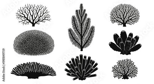 Black coral, sea fan, and tree vector icons, set of 8, black and white illustrations, ocean, marine life, decorative elements
