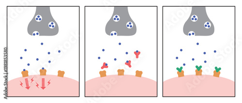 抗CGRP抗体のイメージイラスト