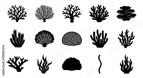 Black coral silhouette icons set, 15 underwater sea reef elements, marine life vector illustrations, aquatic plant and coral reef shapes
