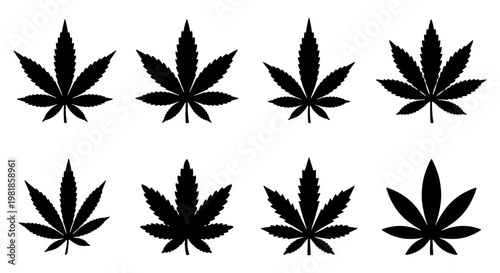 Cannabis leaf silhouette icons, set of 8 marijuana leaf vector shapes, black hemp foliage symbols on white background, medical weed plant elements