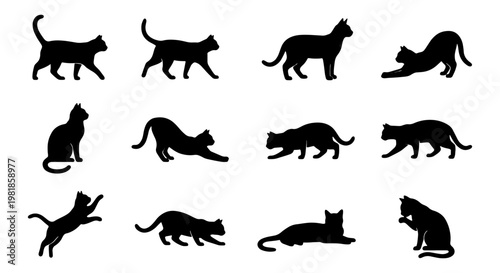 Black cat silhouettes set, 12 feline animal icons in various poses, domestic kitten vector shapes for graphic design and pet branding
