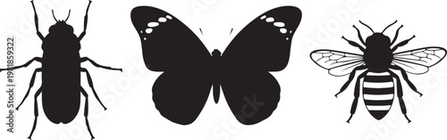 insects butterfly bee silhouette set black.