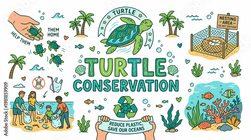 Turtle Conservation: Protect Marine Life, Save Oceans