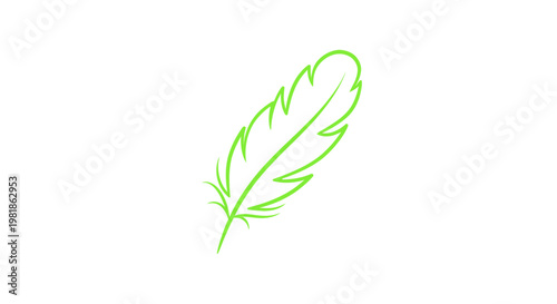 Green feather outline graphic on white background, minimalist design, simple illustration