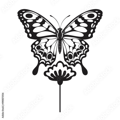 butterfly vector illustration
