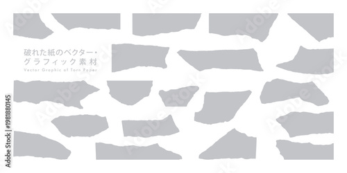 破れた紙のベクター・グラフィック素材（Grey）