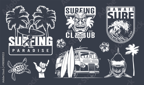 Surfing in hawaii club