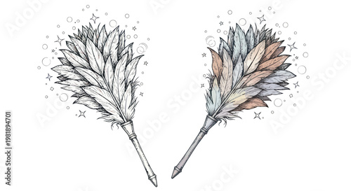 Hand-drawn Feather Duster - Two Styles: Sketch and Colored
