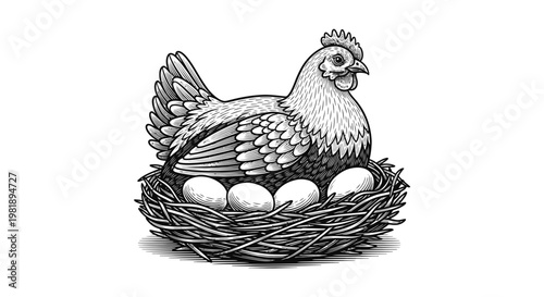 Hen Sitting On Nest With Eggs, Vintage Illustration Style