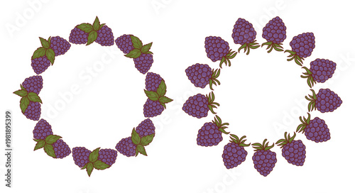 Round Wreath Frame with Purple Blackberries Set. Isolated Botanical Forest Wild Berry Circle Border. Organic Fruit Template with Empty Copy Space. Vector Illustration.