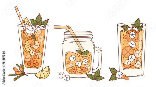 Sea Buckthorn Summer Drinks Set. Healthy Cold Beverage of Mason Jar and Highball Glasses with Ice, Orange Berry, Mint and Citrus Slices with Cocktail Straw. Isolated Vector Illustration on White.