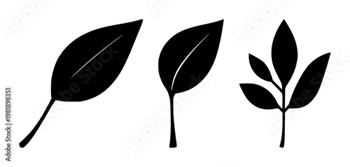 Leaf set with solid black icon on white background featuring corporate social responsibility icon, environmental, sustainability with green design and zero waste