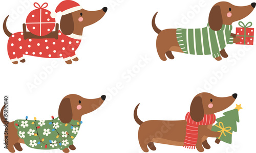 Cute Christmas dachshund dog set in festive sweaters and outfits