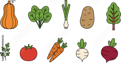 Fresh garden vegetable set with tomato carrots and butternut squash