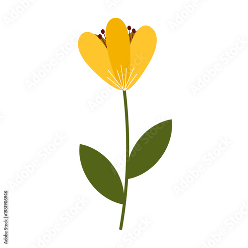 yellow flower illustration isolated on white background