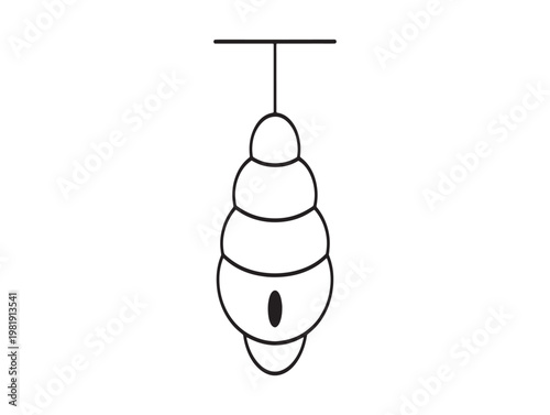 Simple black and white line drawing of a pupa or chrysalis hanging from a thread
