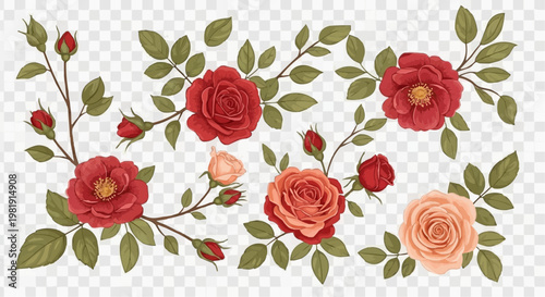 Floral vector collection. Flowers decoration illustration of red and peach rose flowers, leaves, branches. Romantic botanic elements for wedding or greeting card design 