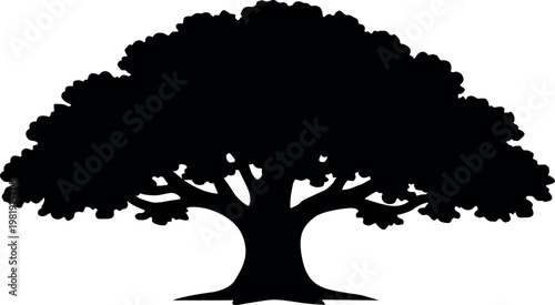 A silhouetted image of a large full tree with a rounded canopy