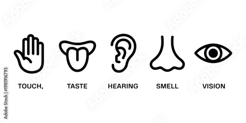 Five Senses Touch Taste Hearing Smell Vision Black and White Line in white background