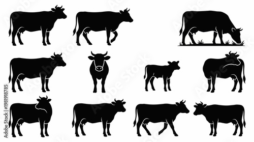 Cow Silhouette Vector Pack – Farm & Dairy Animal SVG Collection