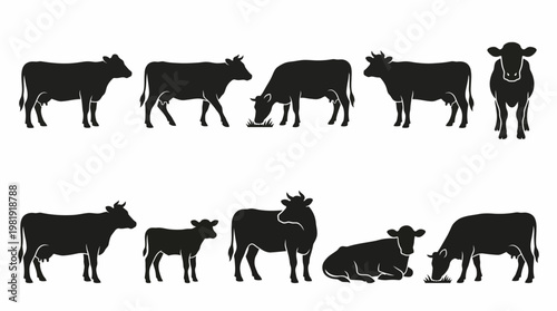 Cow Silhouette Vector Pack – Farm & Dairy Animal SVG Collection