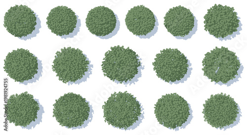 Top view of lush green tree crowns with shadow for architectural site plan vector illustration on white