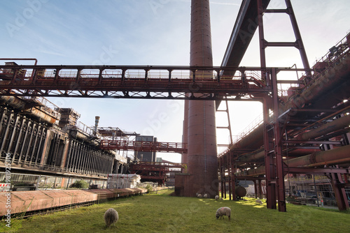 abandoned industrial building with sheeps in foreground