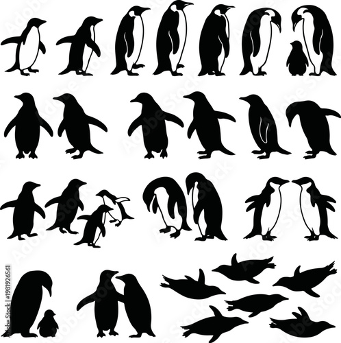 Penguin silhouette vector set, wildlife and arctic animal symbols