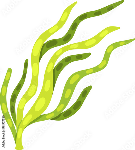 Aquarium aquatic life green wavy seaweed plant. Tropical sea aquatic algae leaf, aquarium life undersea isolated vector plant. Coral reef landscape water flora or ocean underwater seaweed